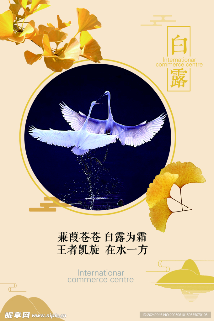 白露海报  