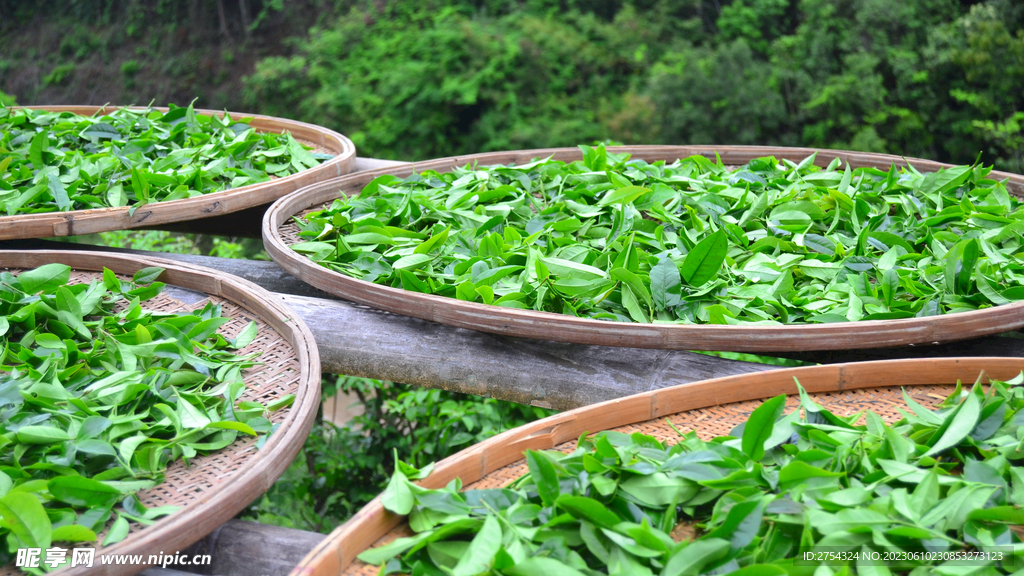 茶叶