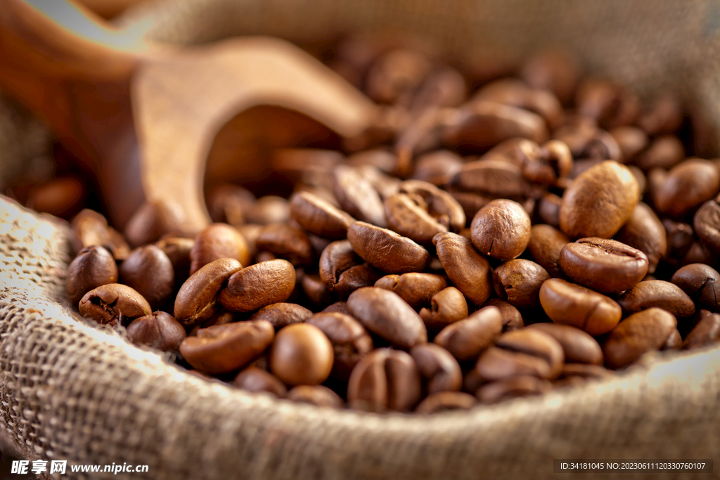 咖啡豆图片