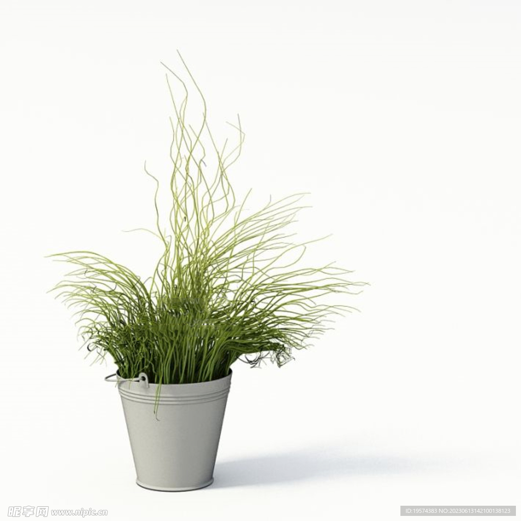 C4D模型 观赏植物