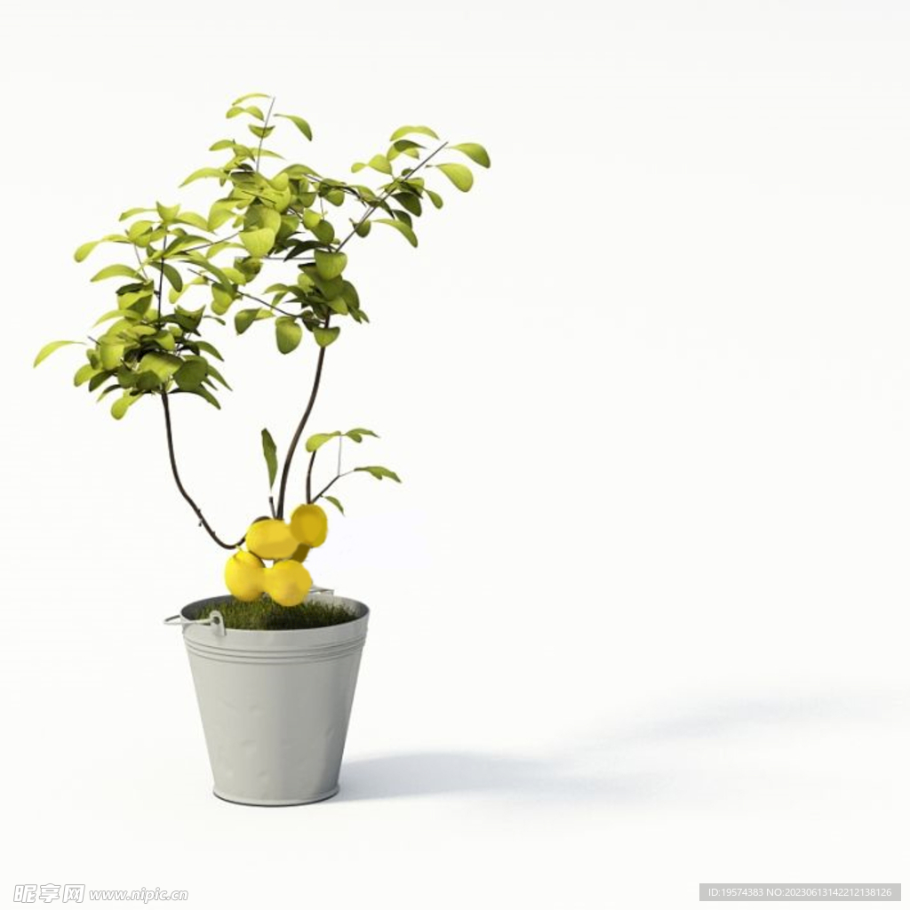 C4D模型 果树