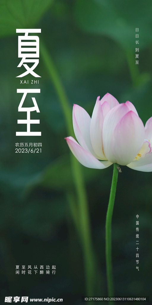 夏至