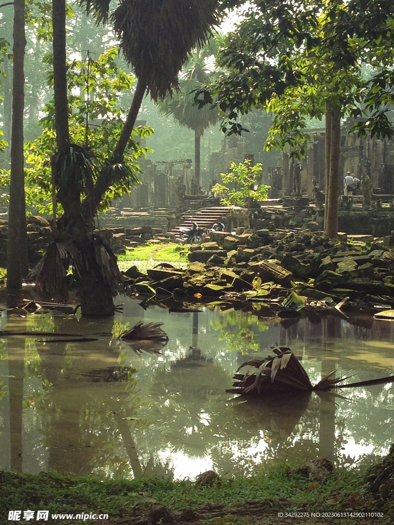热带雨林风景