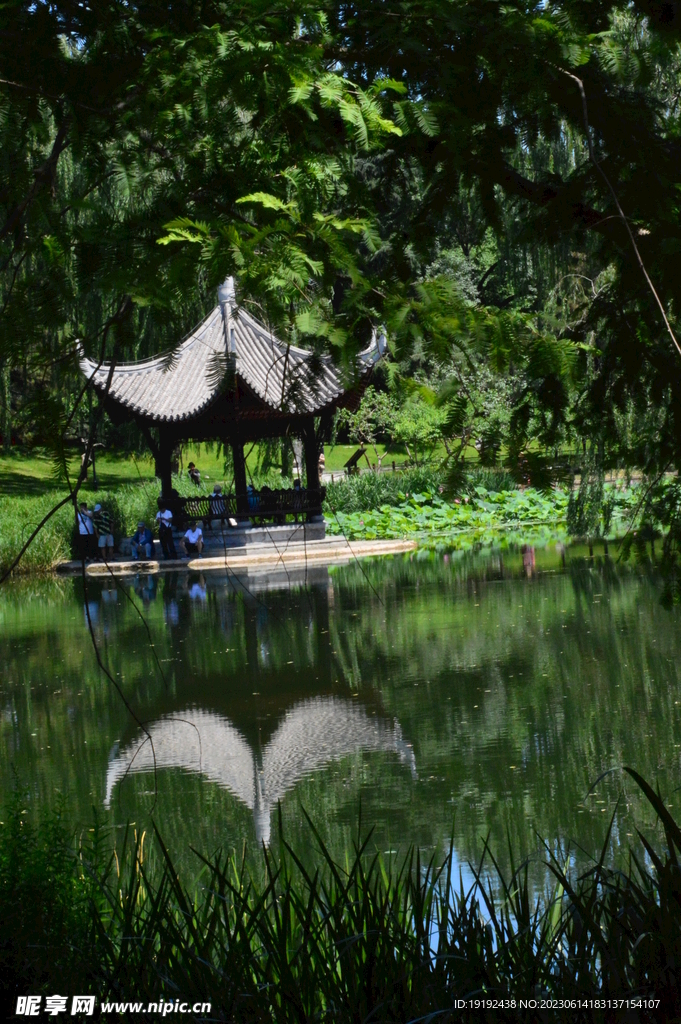 陶然亭风景