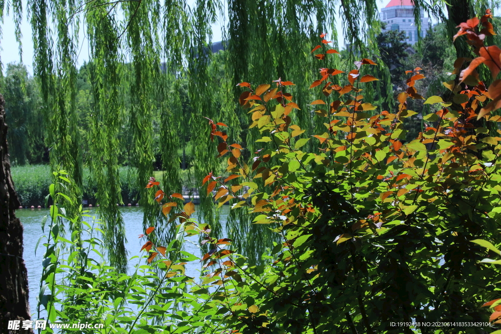 陶然亭风景 