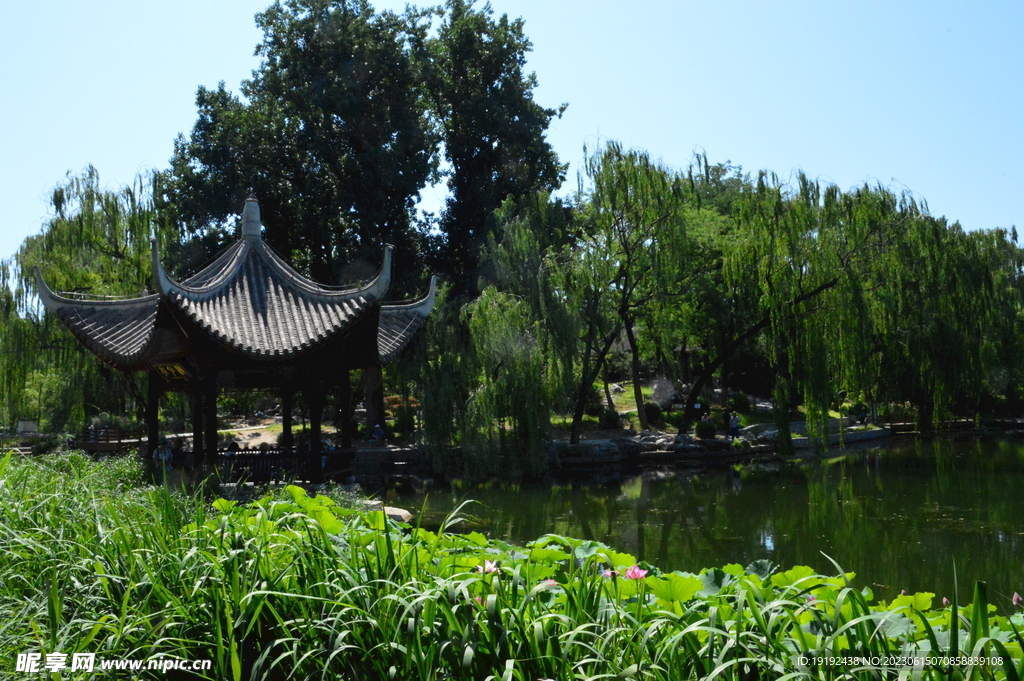 公园风景
