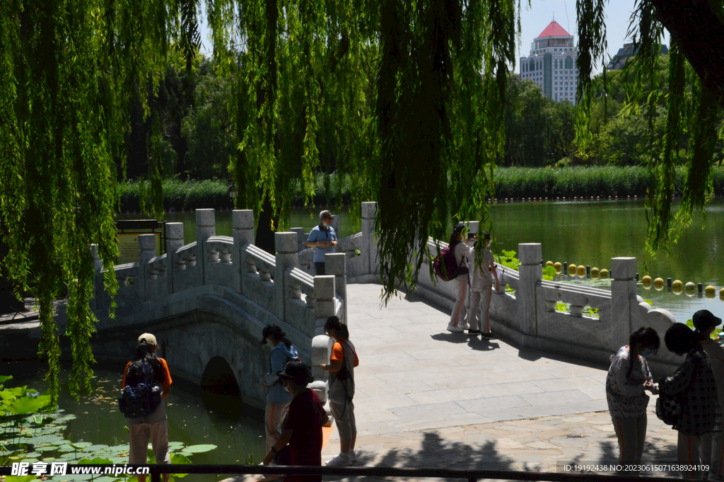 陶然亭风景 