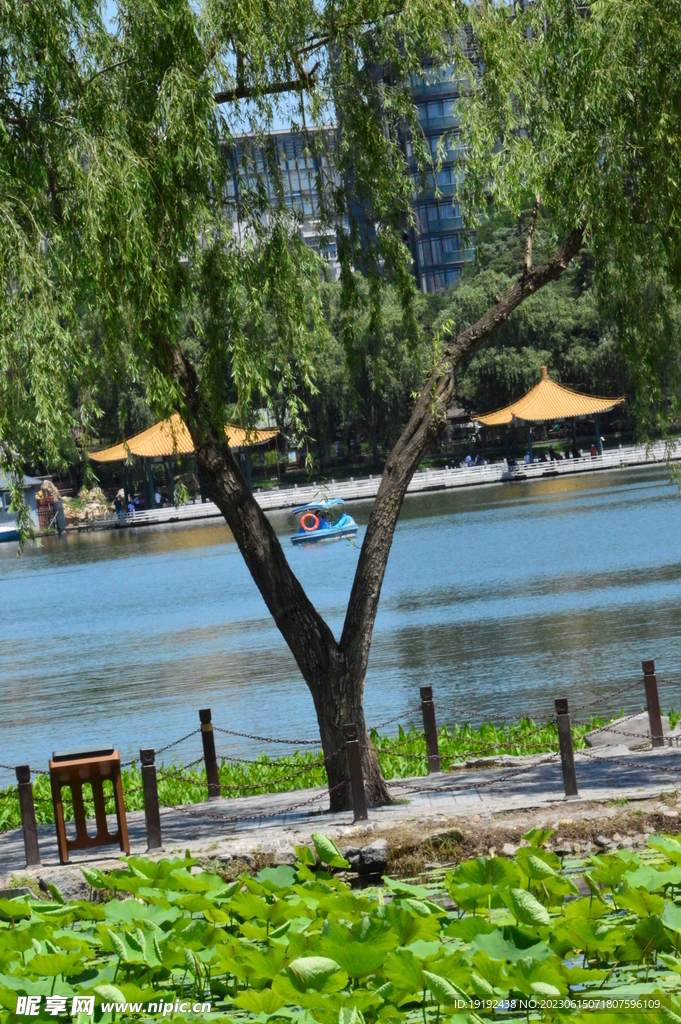 陶然亭风景 