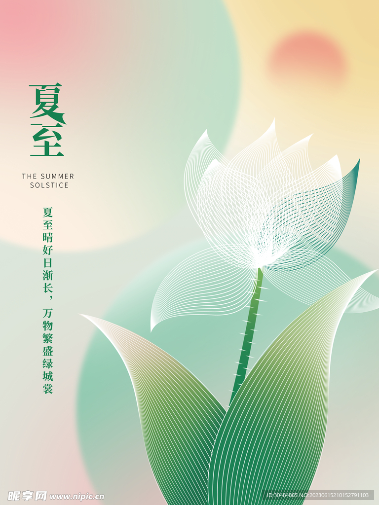 夏至