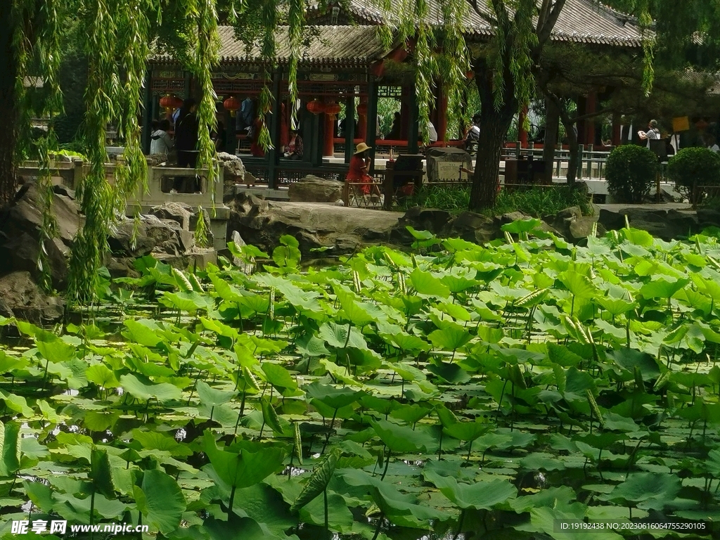 公园风景