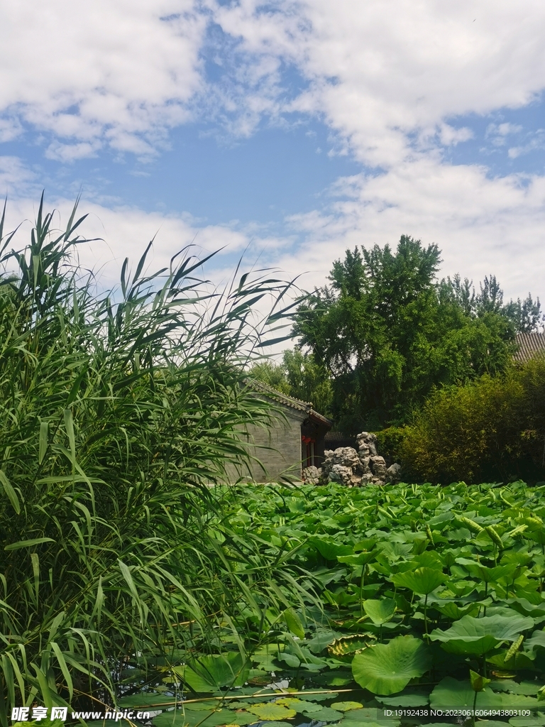 公园风景 
