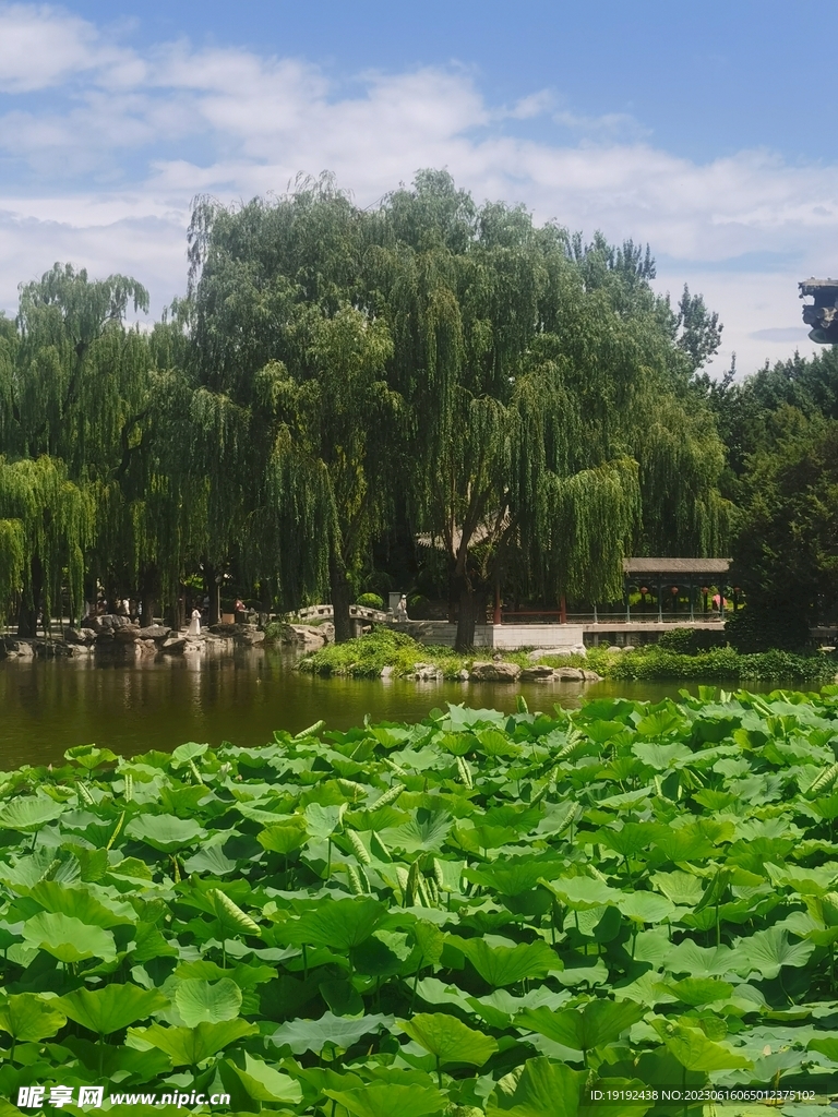 公园风景