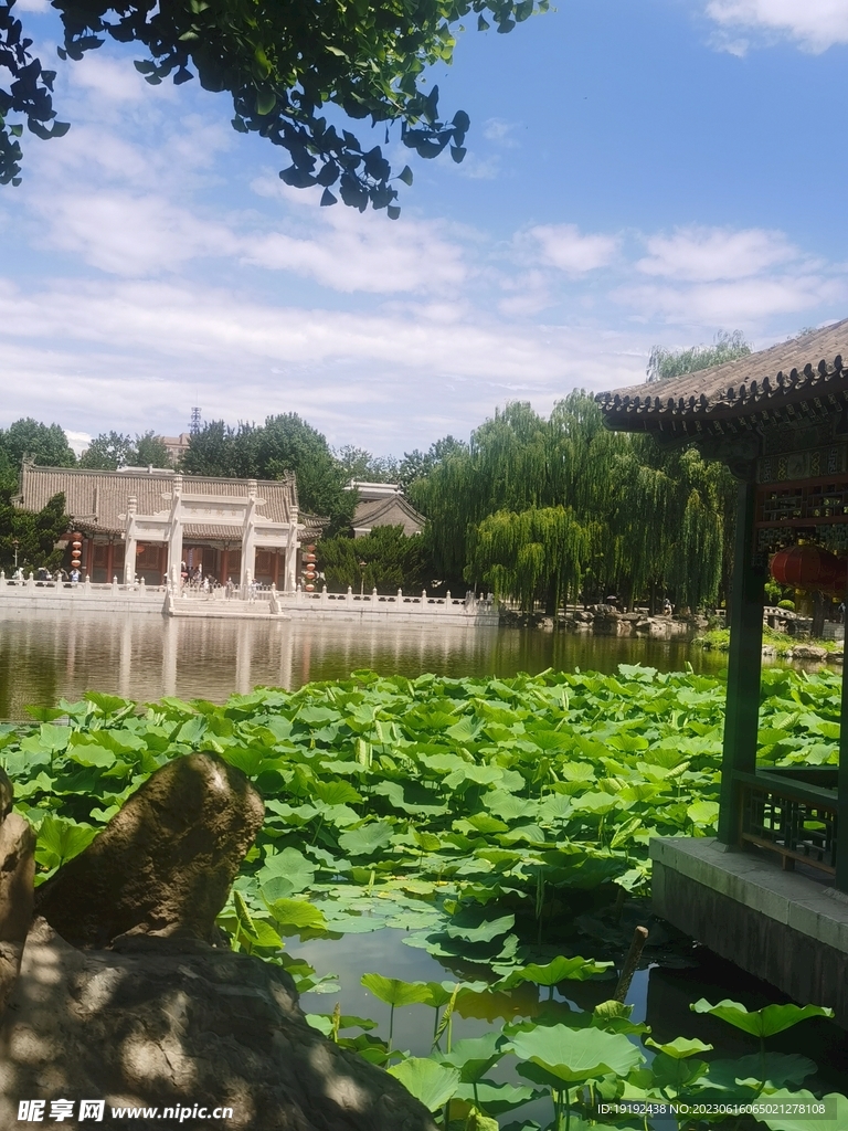 公园风景