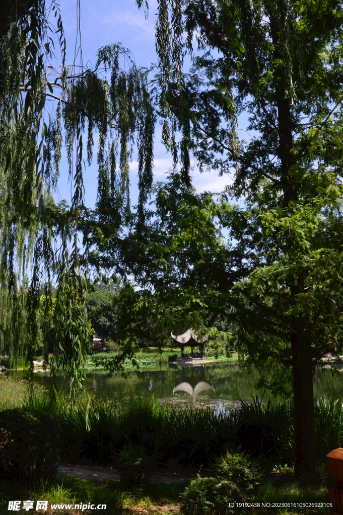 公园风景 