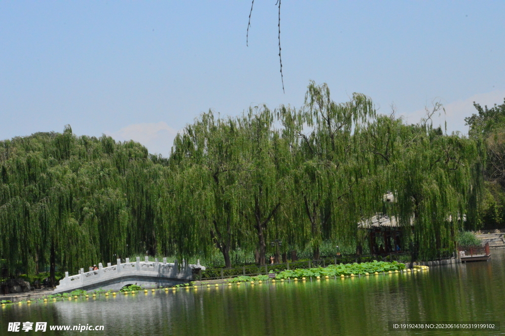 公园风景 