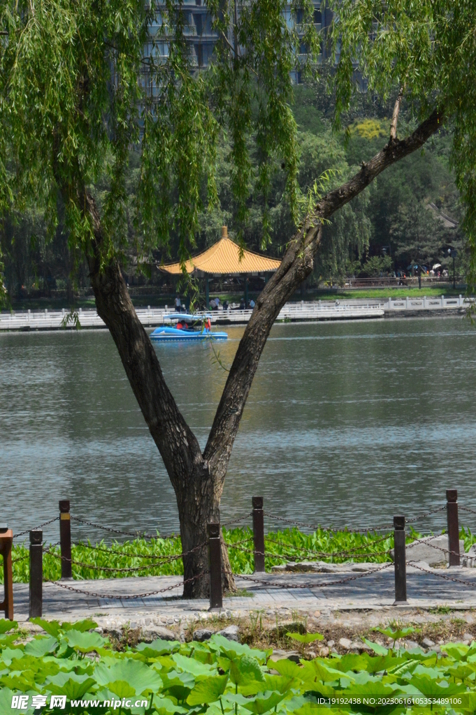 公园风景  