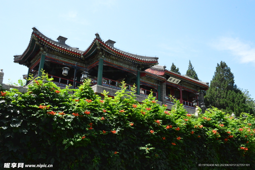 公园风景 