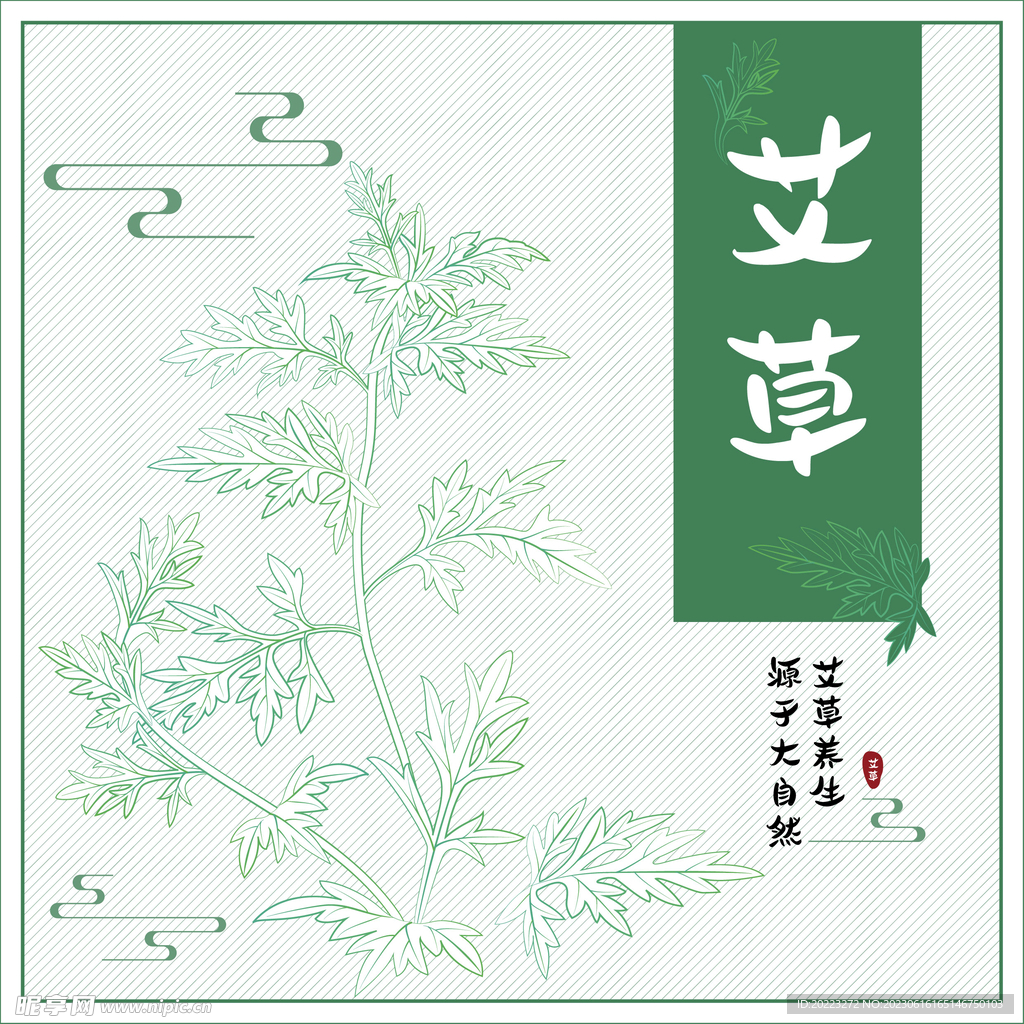 艾草包装