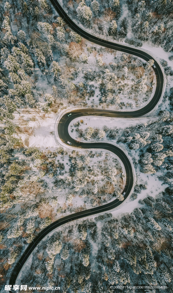 雪山树林 装饰画 弯曲小路