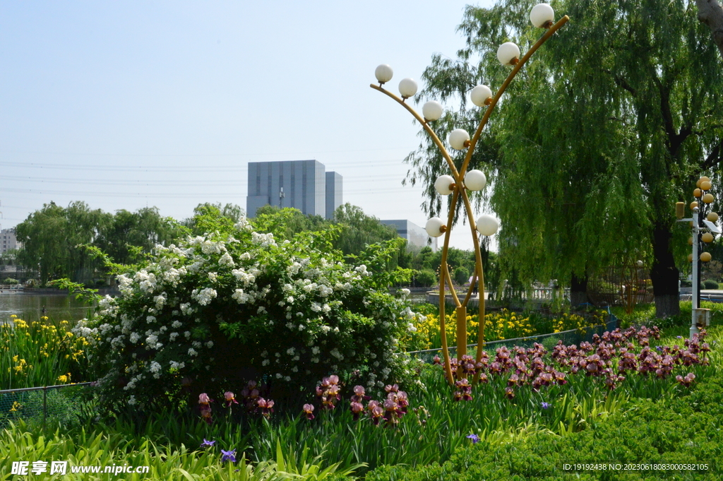 公园风景