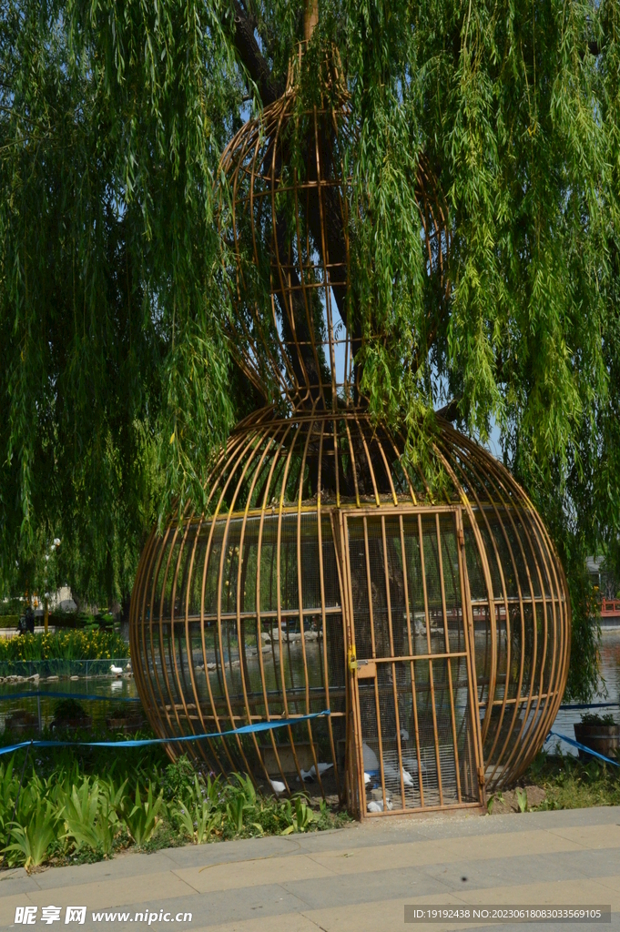 公园风景