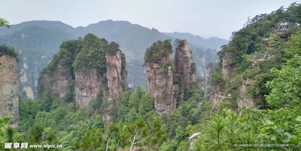 山