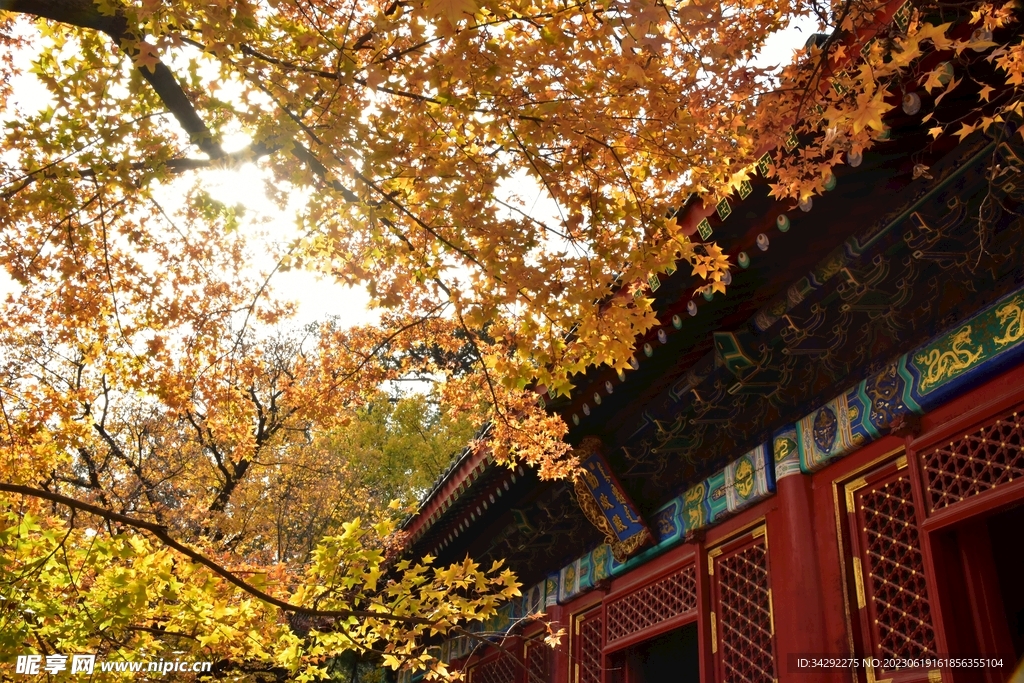 中国风建筑摄影
