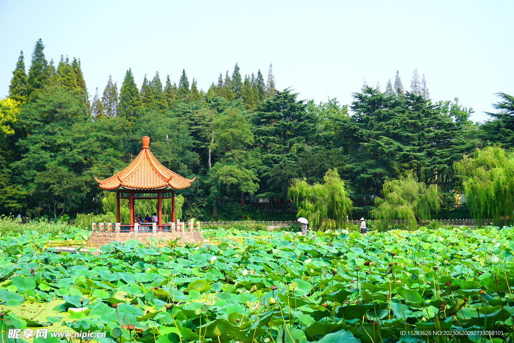 中国园林风景