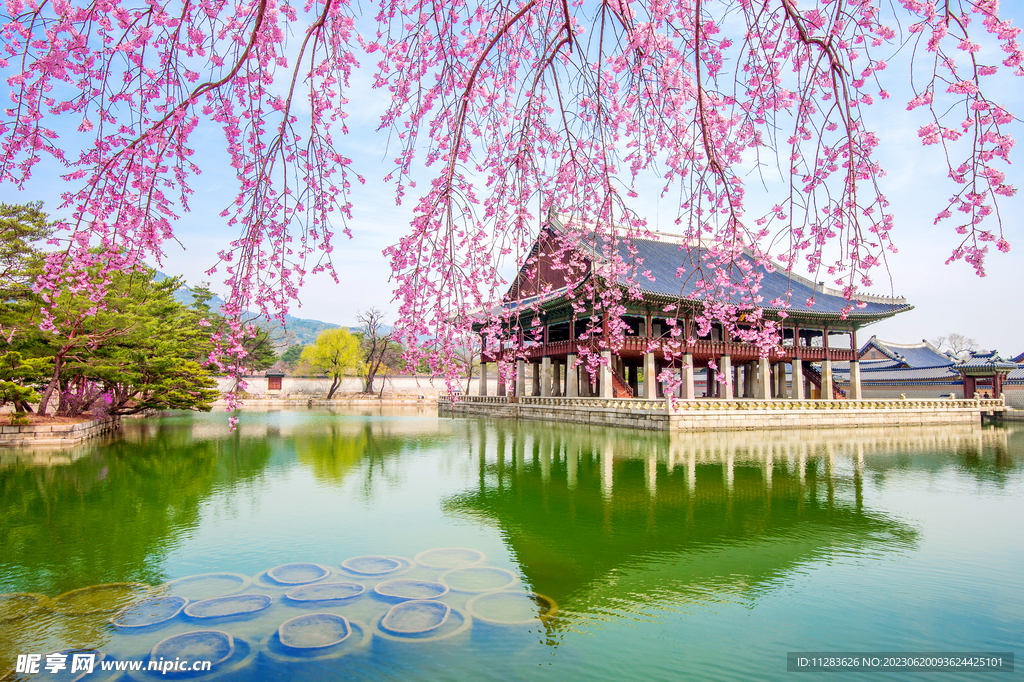 园林风景