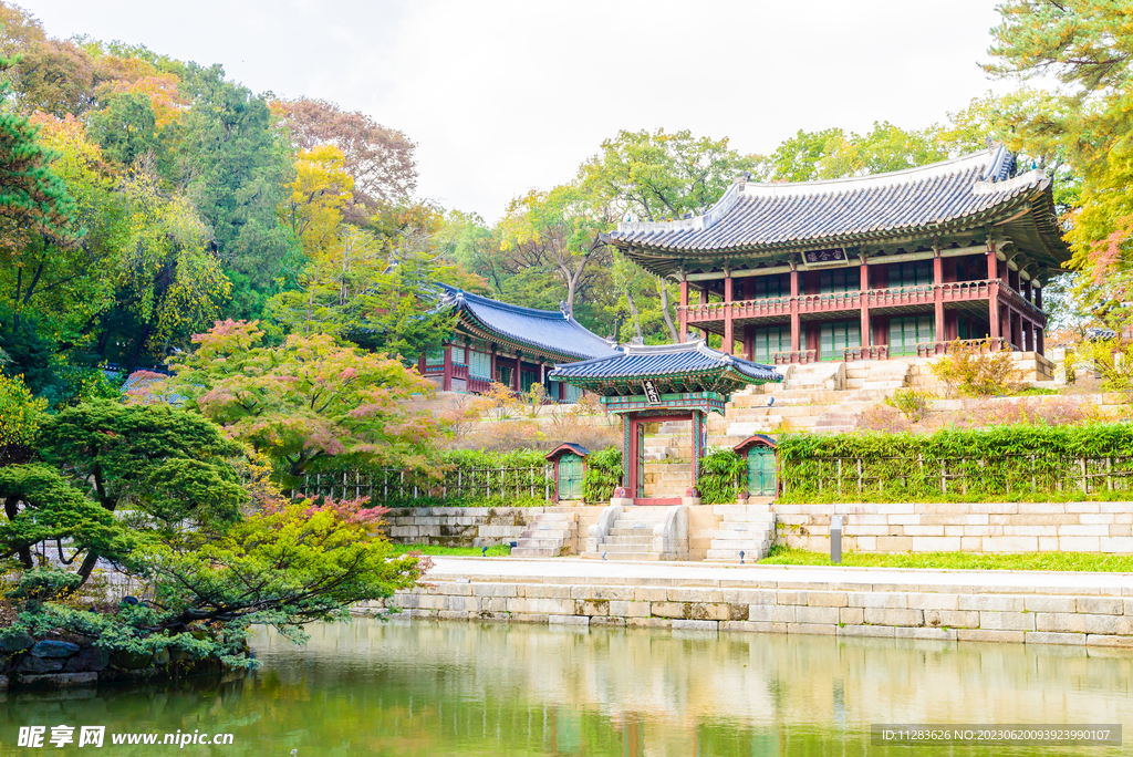 园林风景