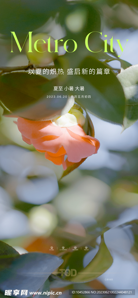 夏至