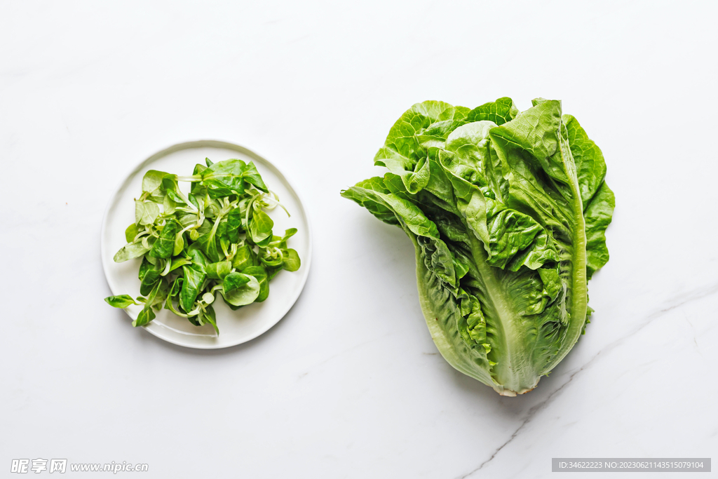 生菜