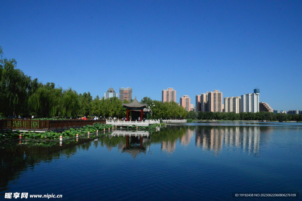 公园风景
