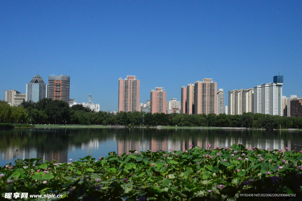 公园风景 