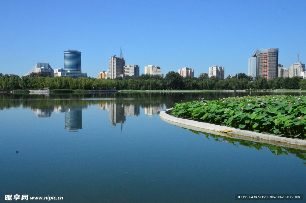 公园风景 