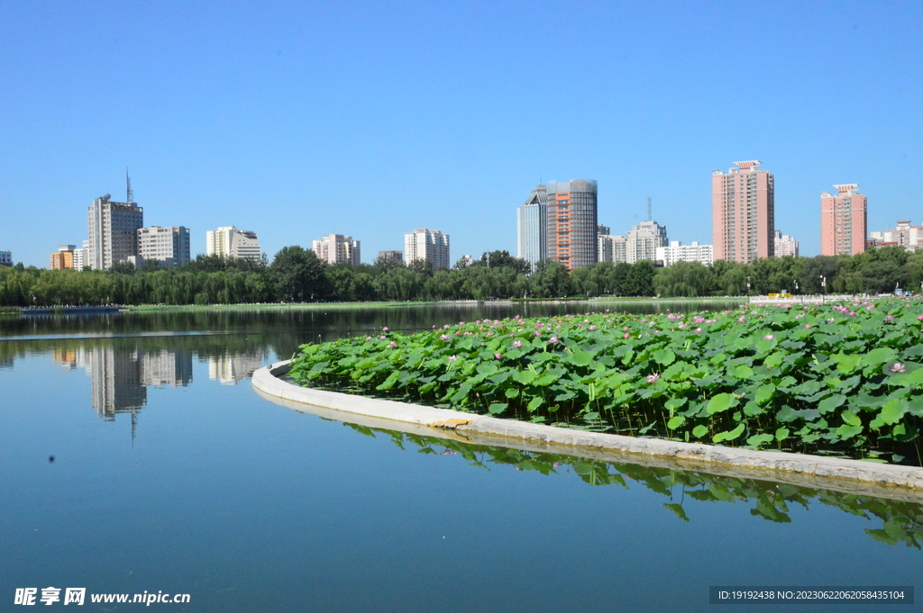公园风景
