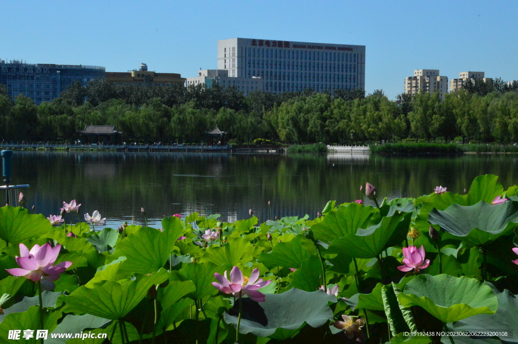 公园风景 