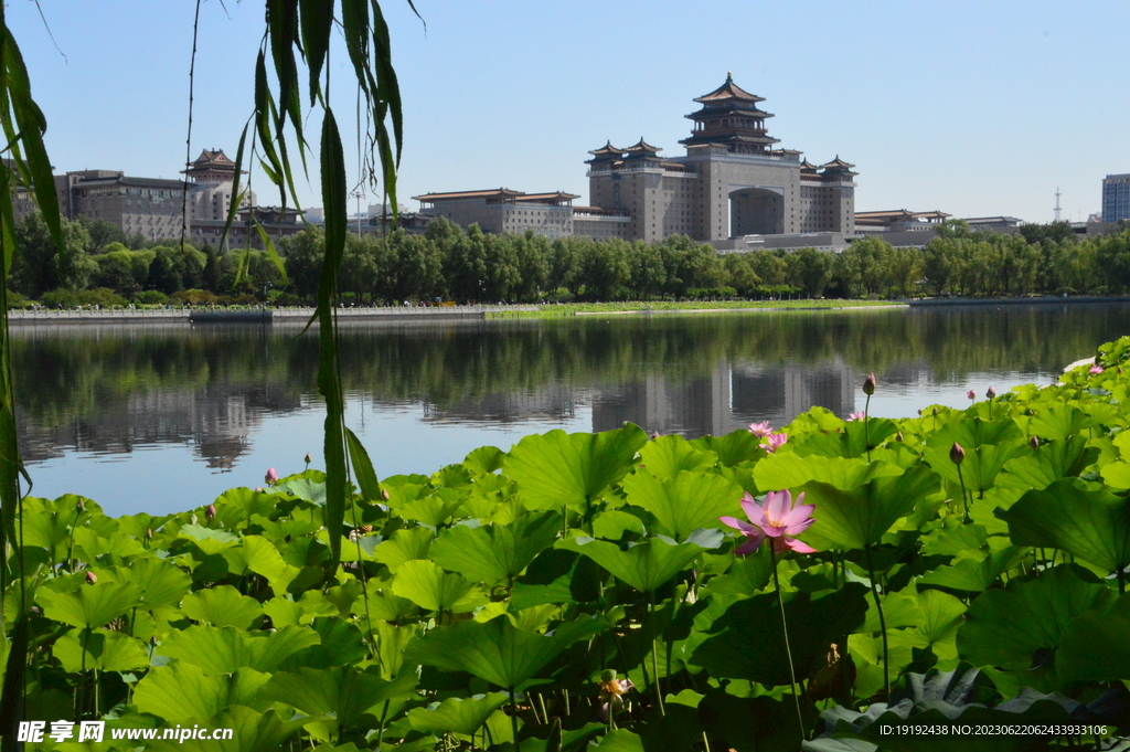 公园风景 