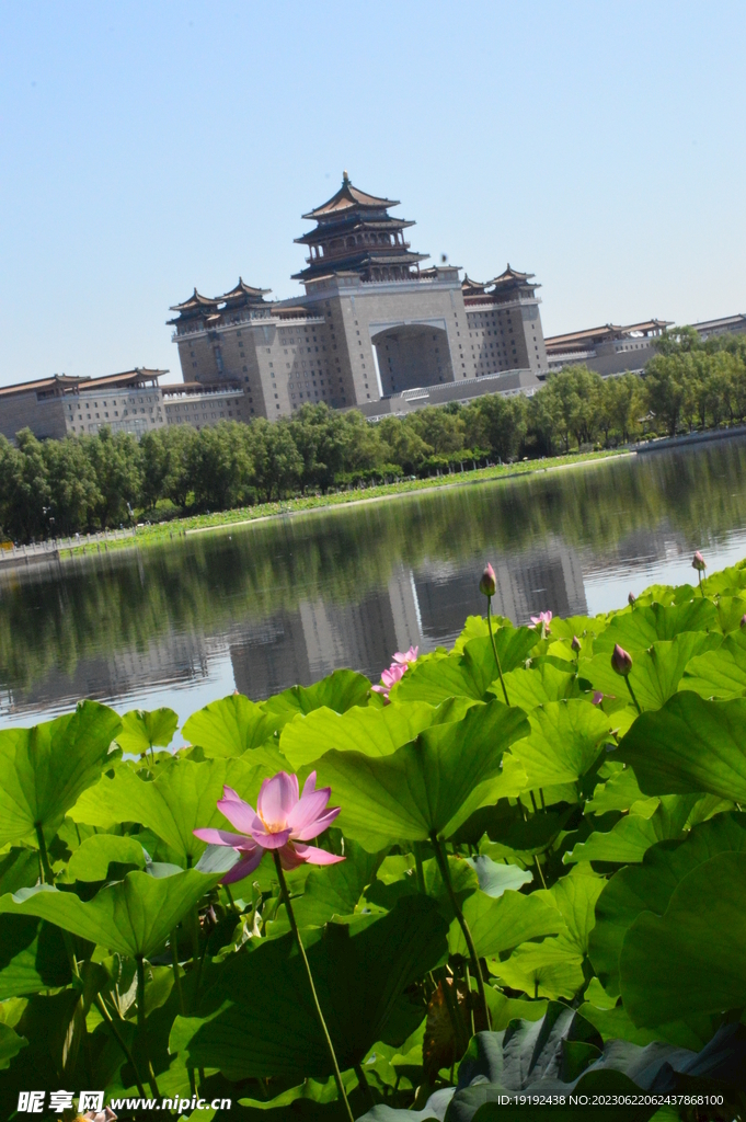 公园风景
