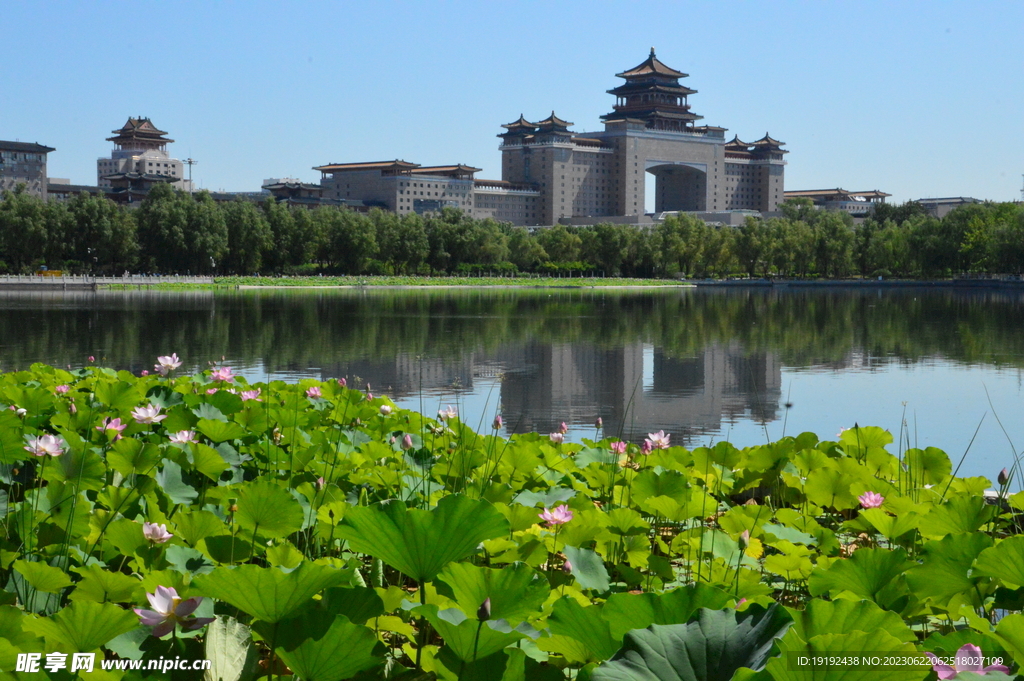公园风景 