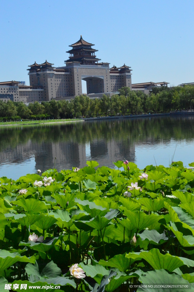 公园风景