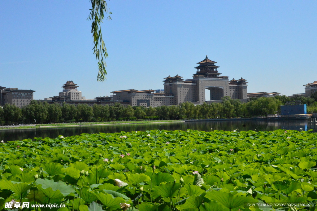 公园风景 