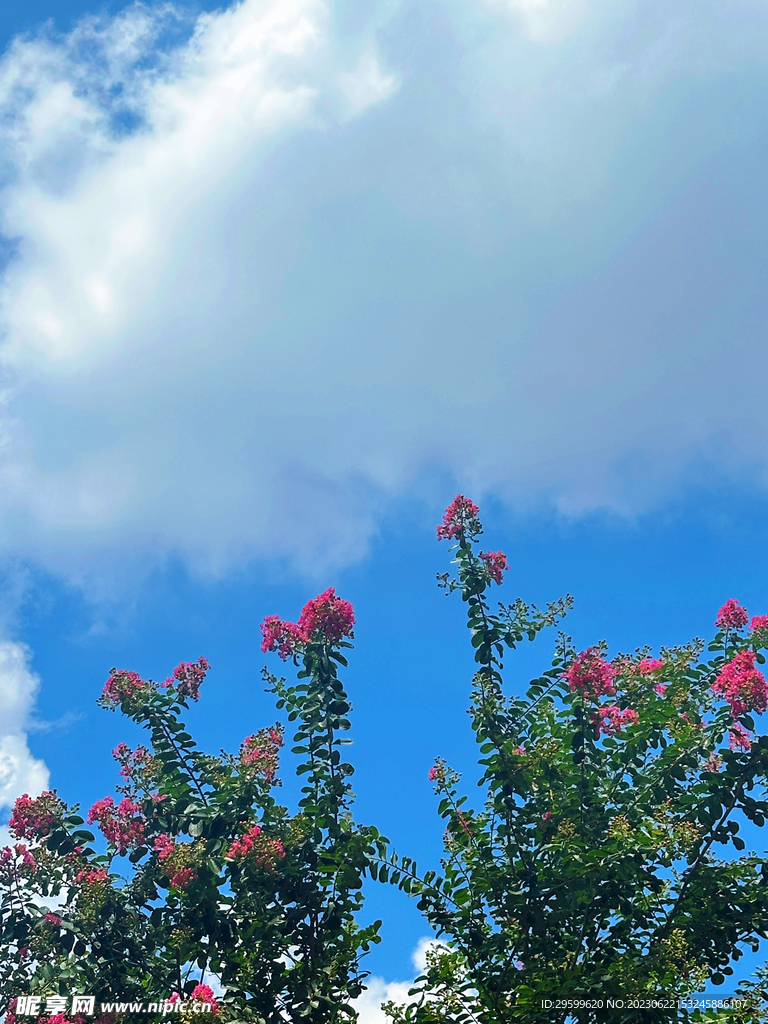 天空