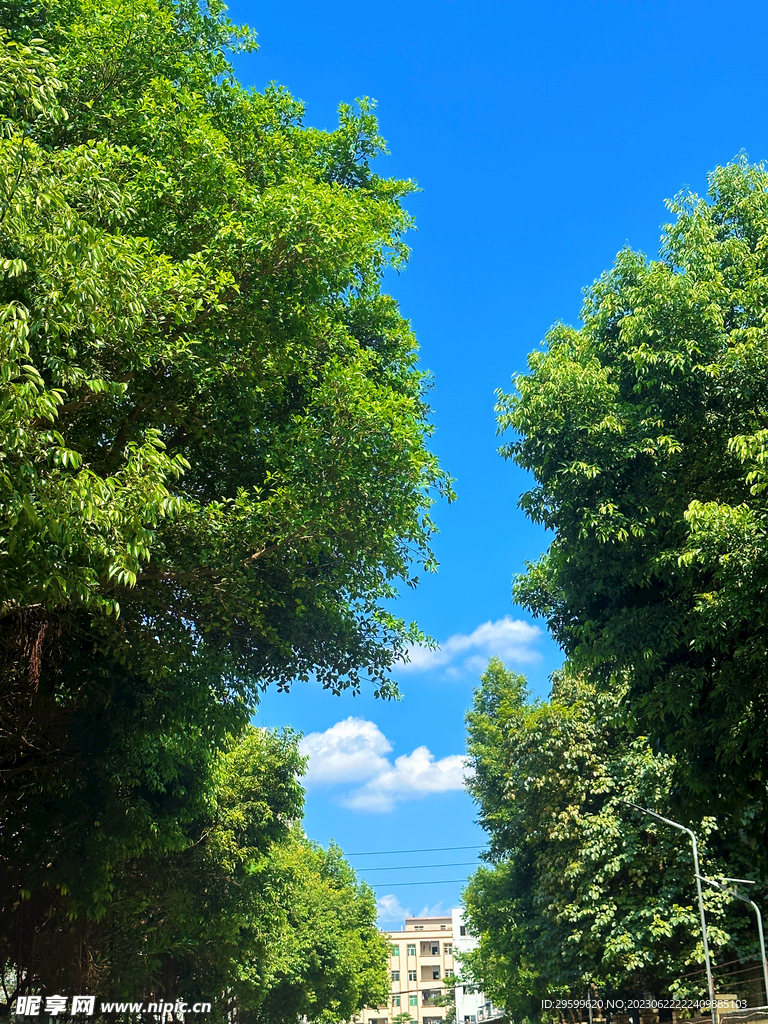 天空