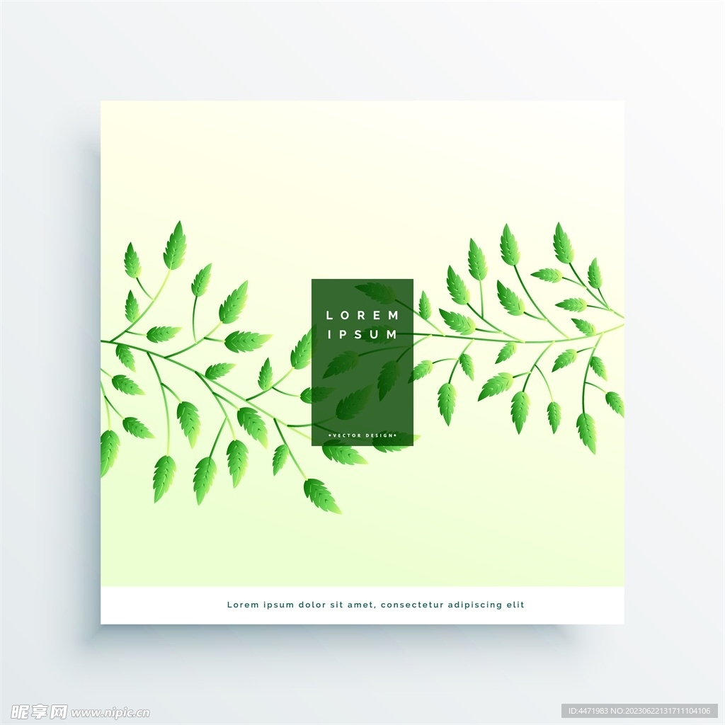 绿色叶子背景 