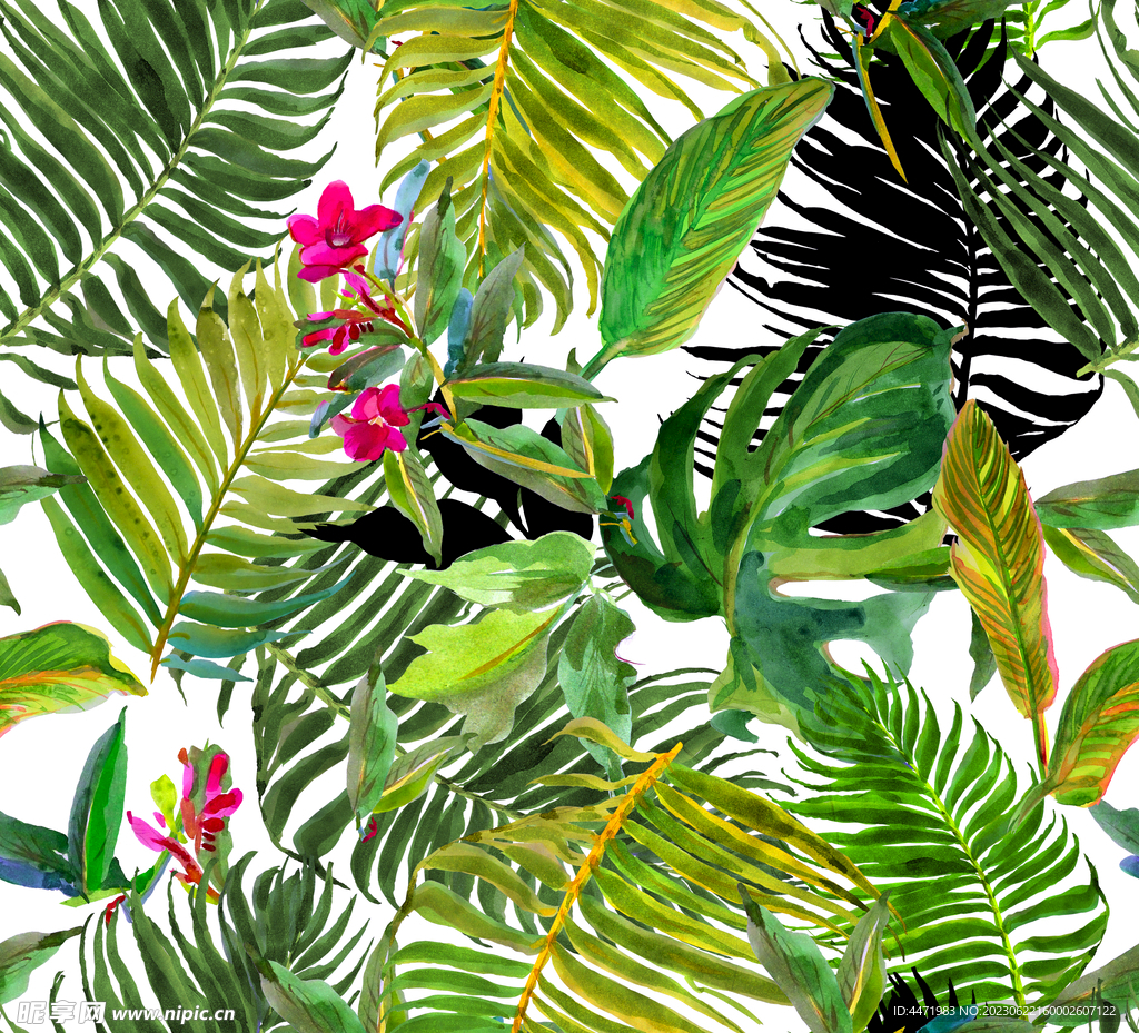 绿植背景 