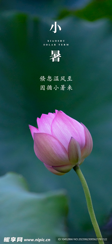 小暑
