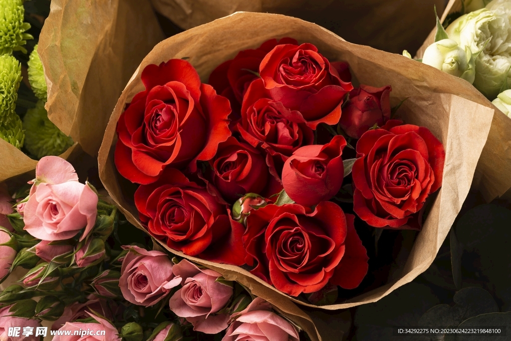 玫瑰花鲜花背景