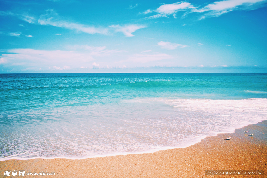 夏日海滩