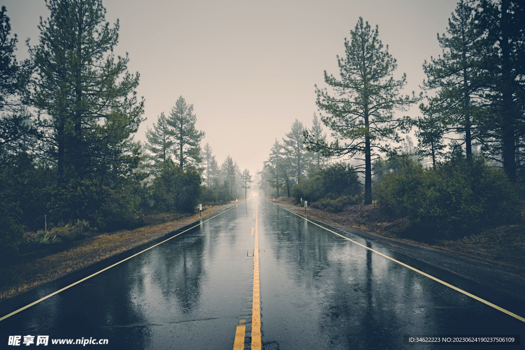 雨中公路
